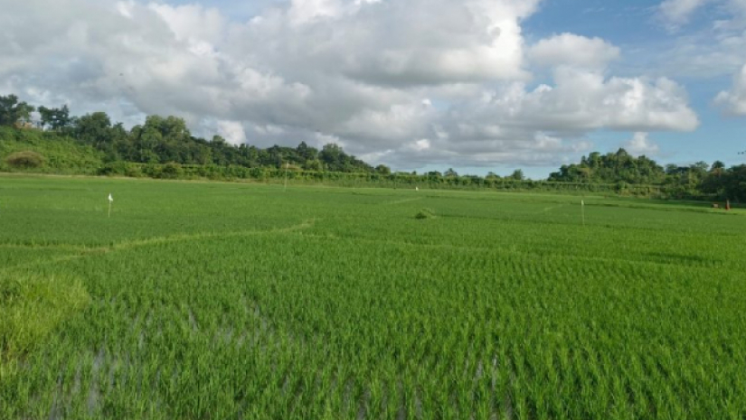মায়ানমার সীমান্ত