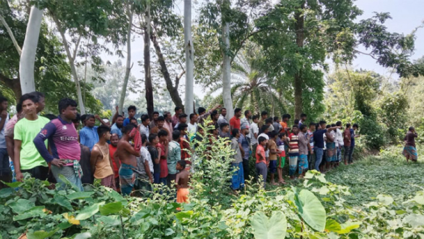 দিনাজপুর সীমান্তে বিএসএফের গুলি