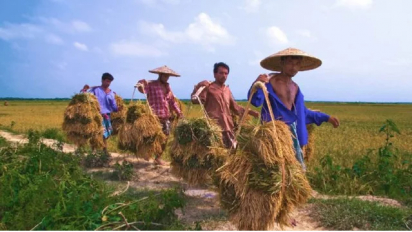 জাতীয় উৎপাদনশীলতা দিবস আজ