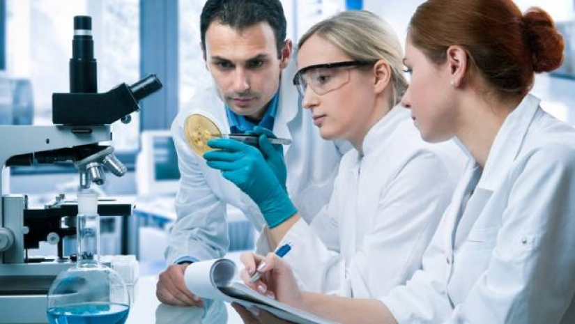 স্কলারশিপ