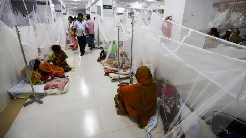 ডেঙ্গুজ্বর