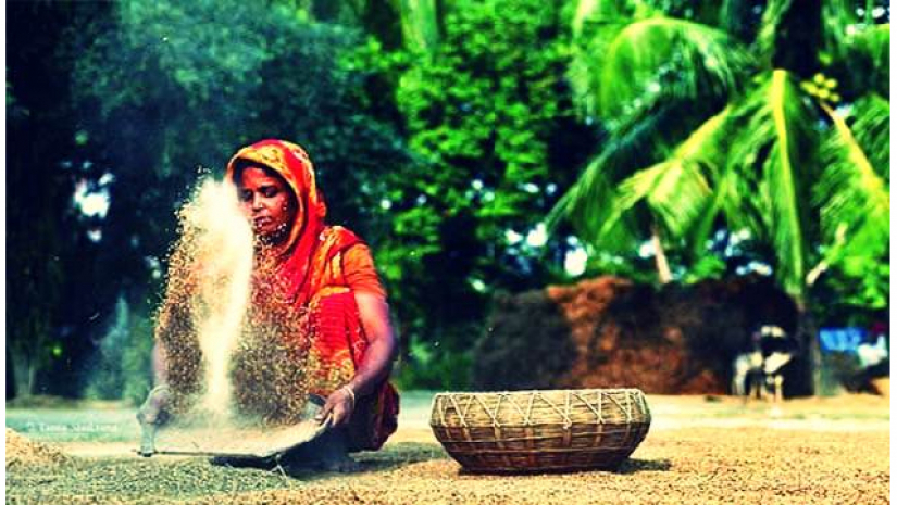 গ্রামীণ নারী