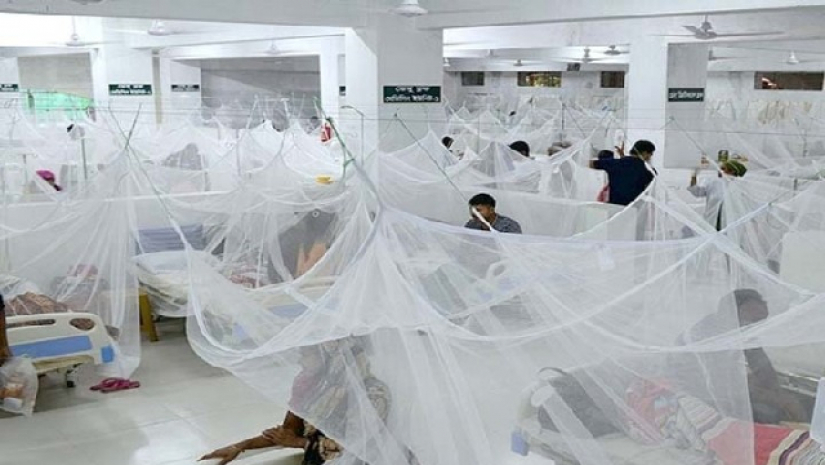 ডেঙ্গুতে এক দিনে রেকর্ড শনাক্ত, মৃত্যু ২