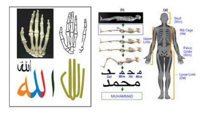 আরবি হরফে কঙ্কাল নিয়ে ব্যতিক্রমী এক পোস্টার প্রদর্শন করা হয়