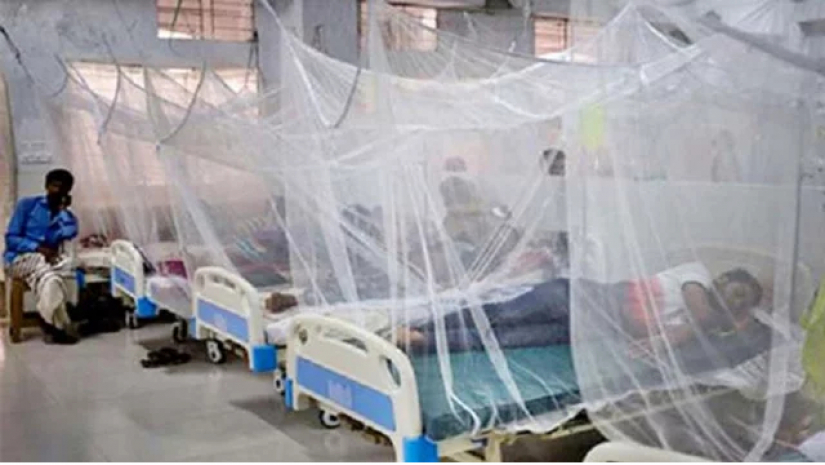 ডেঙ্গুর প্রকোপ