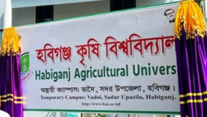 হবিগঞ্জ কৃষি বিশ্ববিদ্যালয়