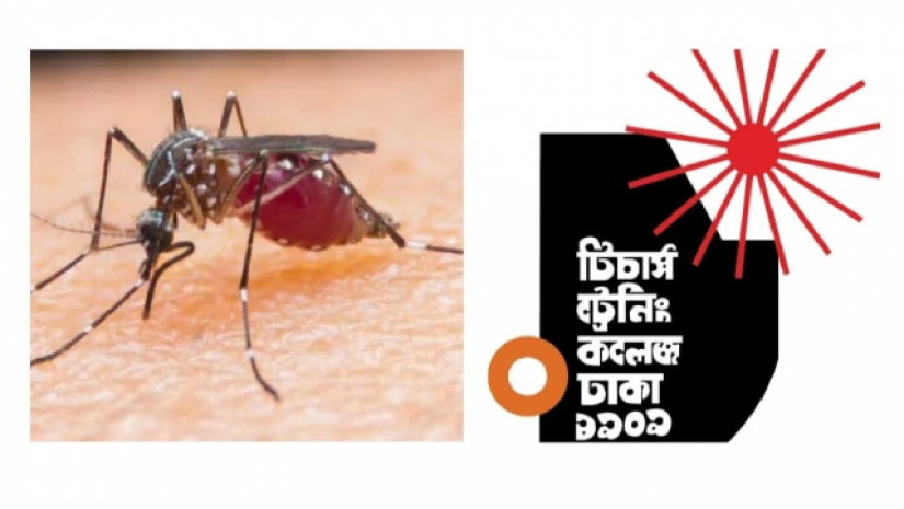 ঢাকা টিচার্স ট্রেনিং কলেজে মশার উপদ্রবে নাভিশ্বাস শিক্ষার্থীদের