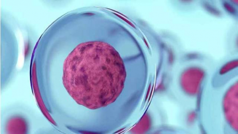 ক্যান্সার