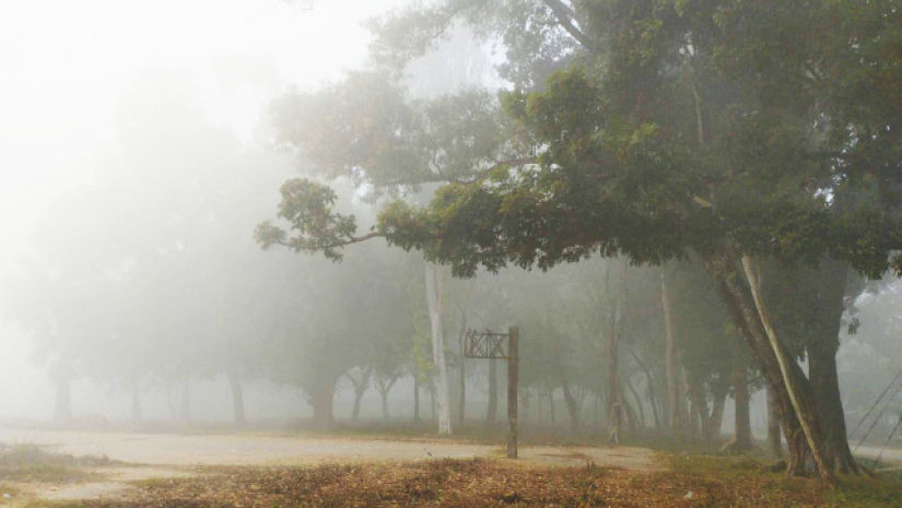 শীতের সঙ্গে কুয়াশার চাদরে ঢেকে যাচ্ছে রাজশাহী বিশ্ববিদ্যালয়