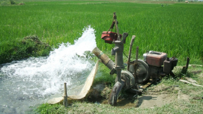 সেচের পাম্পে ওড়না পেঁচিয়ে মৃত্যু স্কুলছাত্রীর