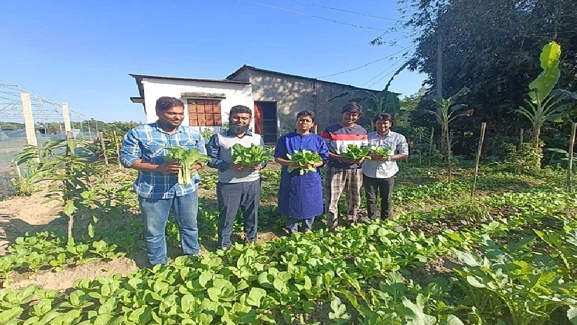 বিদেশে উচ্চশিক্ষা নিয়ে কৃষিকাজে আজাদ, আয় লাখ টাকা