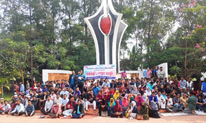 ৮ দাবিতে নোবিপ্রবি কর্মকর্তা-কর্মচারীদের কর্মবিরতি