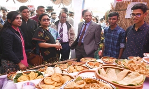 বেরোবিতে প্রথম পিঠা উৎসব