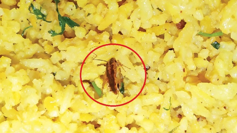 ﻿জবির ছাত্রীহলের ক্যান্টিনে খাবারে তেলাপোকা