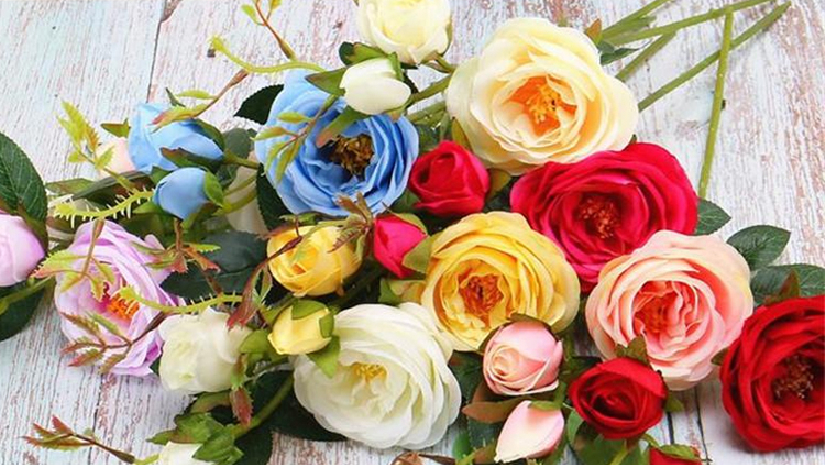 সম্পর্ক গড়ার আগেই ভেঙে যেতে পারে ভুল রঙের গোলাপে