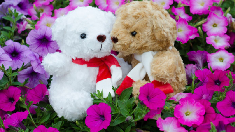 প্রিয় মানুষকে ‘টেডি’ উপহার দেয়ার দিন আজ