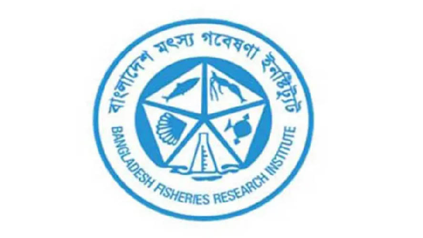 মৎস্য গবেষণা ইনস্টিটিউটে চাকরি