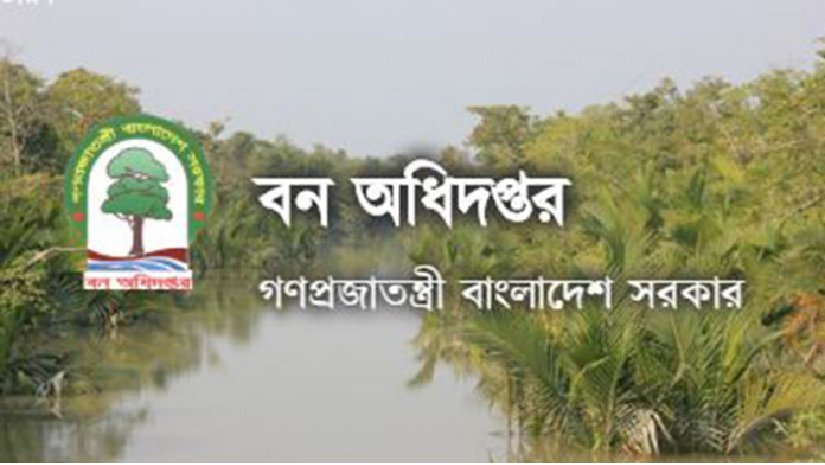 বন অধিদপ্তর