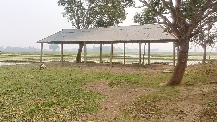 বেংরোল প্রাথমিক বিদ্যালয়