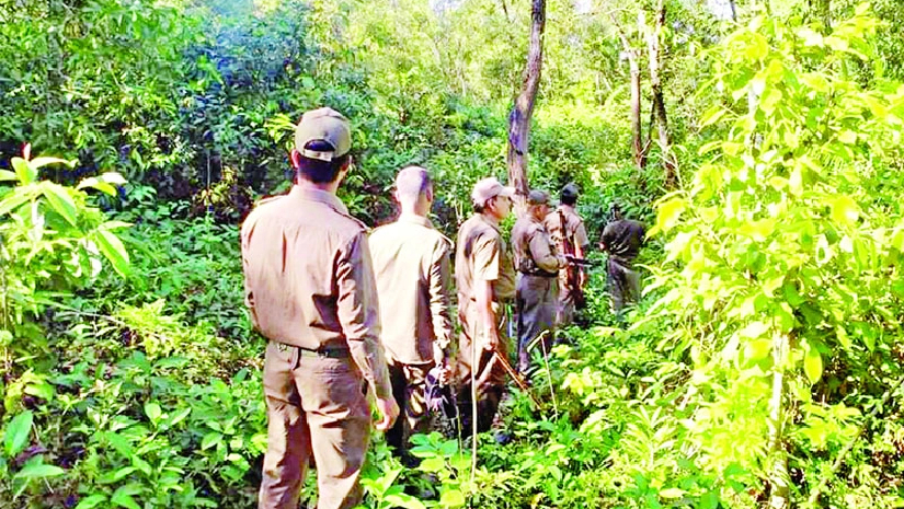 ফরেস্টার