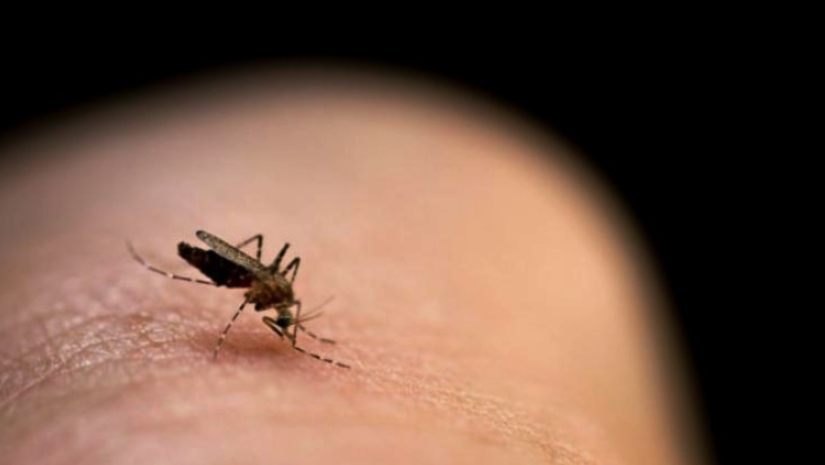 প্রতীকী