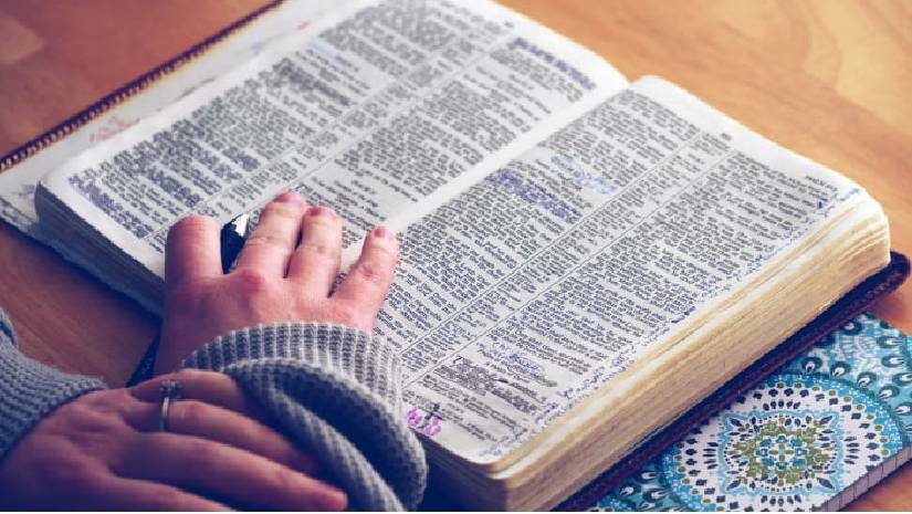 ইংরেজি পারেন না স্নাতকের শিক্ষার্থীরাও