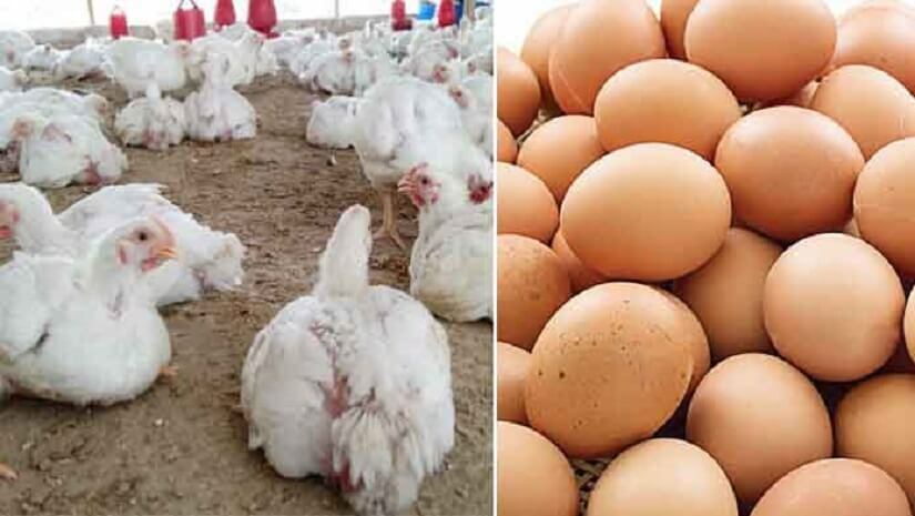 বাজার নিয়ন্ত্রণে সিন্ডিকেট এসএমএস বন্ধের দাবি