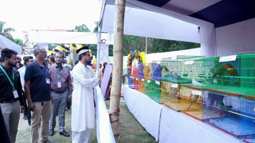 আইআইইউসিতে কবুতর-বিড়াল-কুকুর-খরগোশ প্রদর্শনী