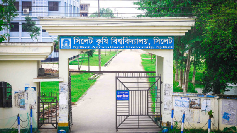 সিকৃবি