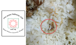 বেরোবিতে স্বাধীনতা দিবসের খাবারে পোকা, শিক্ষার্থীদের ক্ষোভ