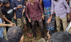 প্রাইভেট কারে গরু চুরি, তিন যুবককে গণপিটুনি