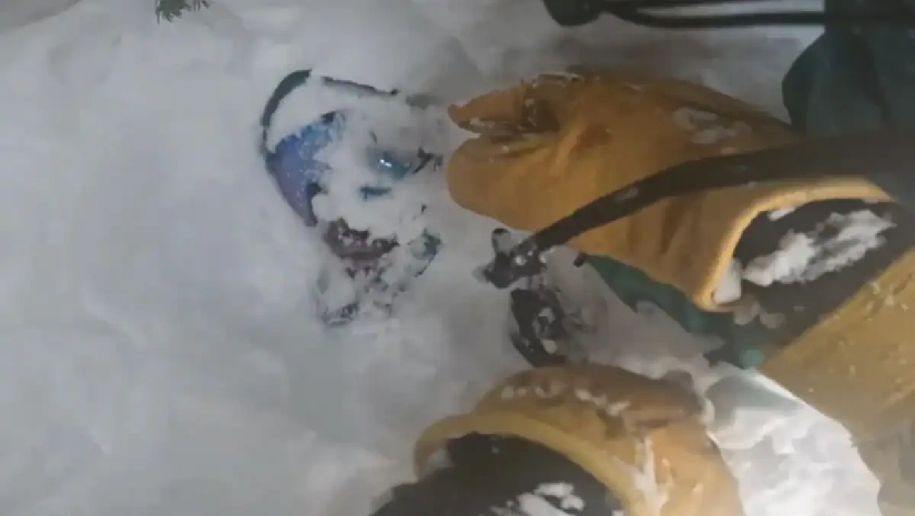 ১৫ ফুট বরফের নিচে চাপা পড়া স্নোবোর্ডারকে জীবিত উদ্ধার করলেন সহকর্মী (ভিডিও) 