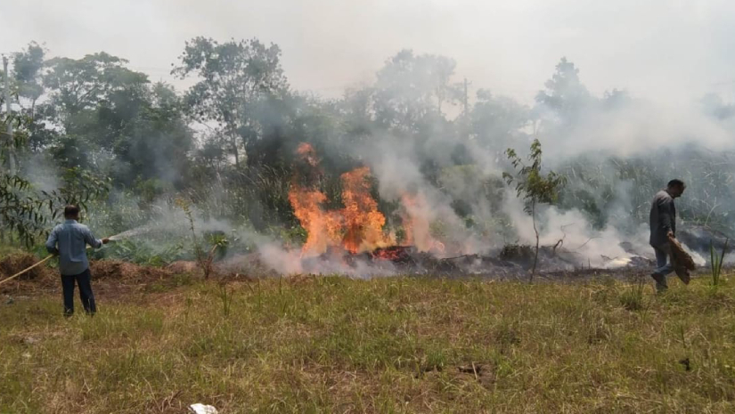 বিশ্ববিদ্যালয় প্রসাশনের দাবি সাপ তাড়াতেই এই আগুন দেওয়া হয়েছে৷