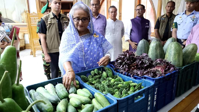 গোপালগঞ্জ থেকে নিয়ে আসা শাকসবজি-ফলমূল পরিদর্শন করলেন প্রধানমন্ত্রী