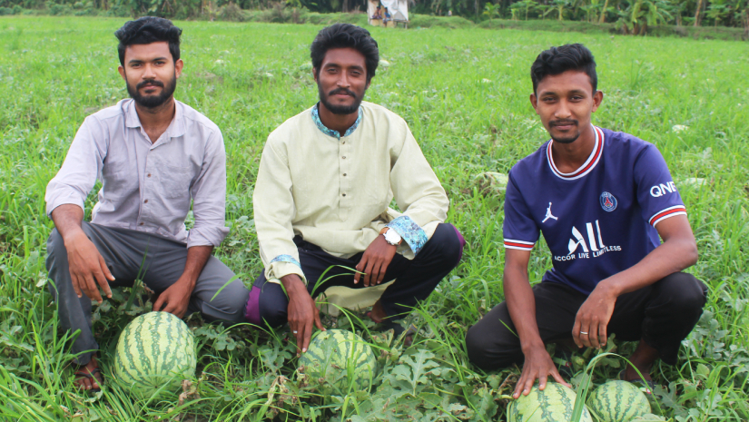 তরমুজ চাষে তিন শিক্ষার্থী, দেড় লাখের চালানে ৪ লাখ আয়ের সম্ভাবনা