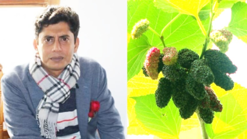 অধ্যাপক ড. এ.এইচ.এম. খুরশীদ আলম