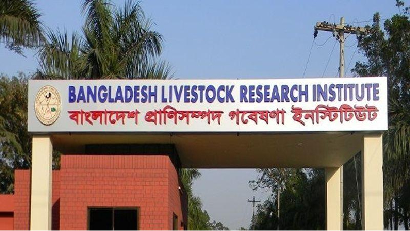 প্রাণিসম্পদ গবেষণা ইনস্টিটিউট