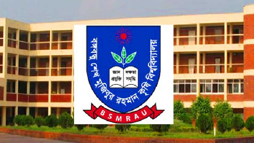 বশেমুরকৃবি
