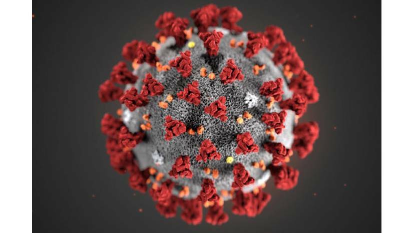 করোনাভাইরাস
