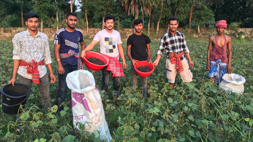 কৃষকের ১২ শতাংশ জমির মুগডাল তুলে দিলেন ছাত্রলীগের নেতারা