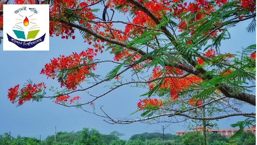 বরিশালের প্রাকৃতিক সৌন্দর্য