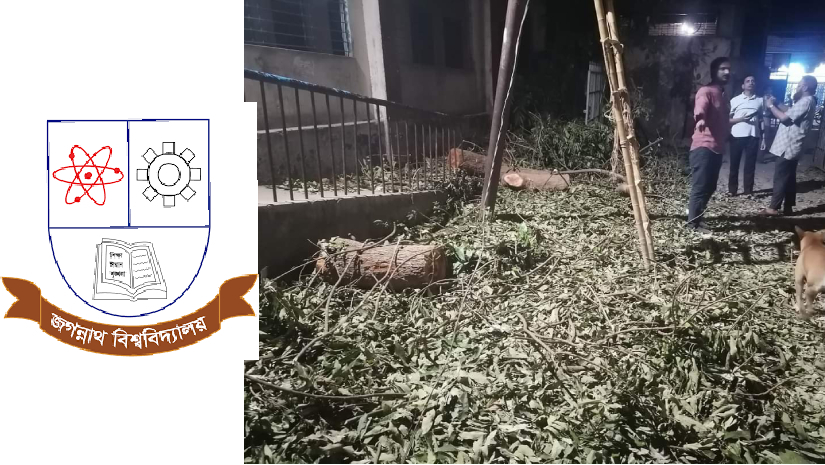 জবি লোগো ও কেটে ফেলা গাছের ডাল-পাতা