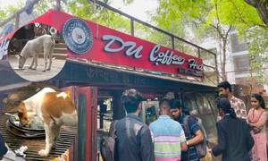 ডিইউ কফি হাটে একই থালায় খাচ্ছে মানুষ ও কুকুর, স্বাস্থ্যঝুঁকির শঙ্কা