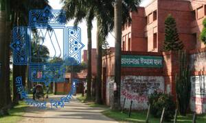 জাবির ছাত্রী হলে বিড়াল পালনে নিষেধাজ্ঞা 