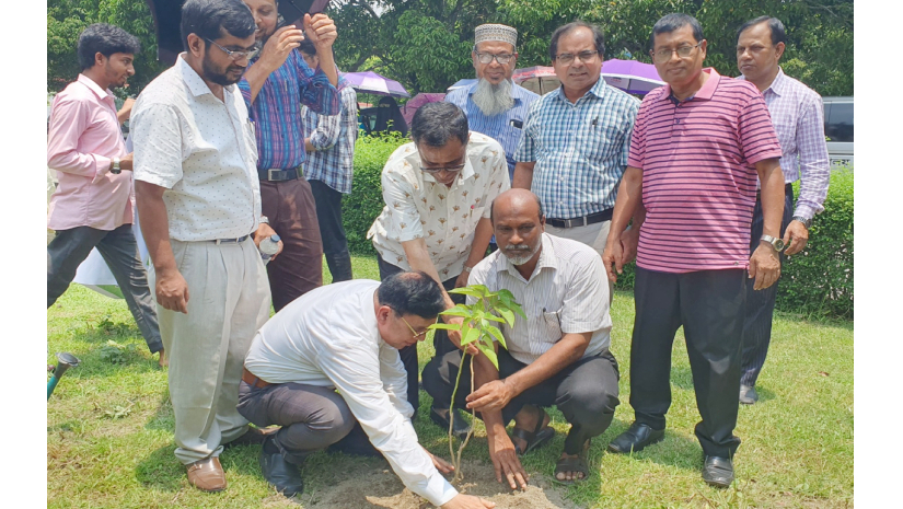 প্রশাসনিক ভবনের সামনে বৃক্ষরোপণ করেন উপাচার্য অধ্যপক ড. মো. আব্দুল আউয়াল