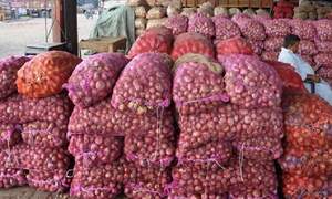 ভারতীয় পেঁয়াজের প্রভাব, দাম নামলো অর্ধেকে 
