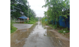 নোবিপ্রবিতে সামান্য বৃষ্টিতেই জলাবদ্ধতা 