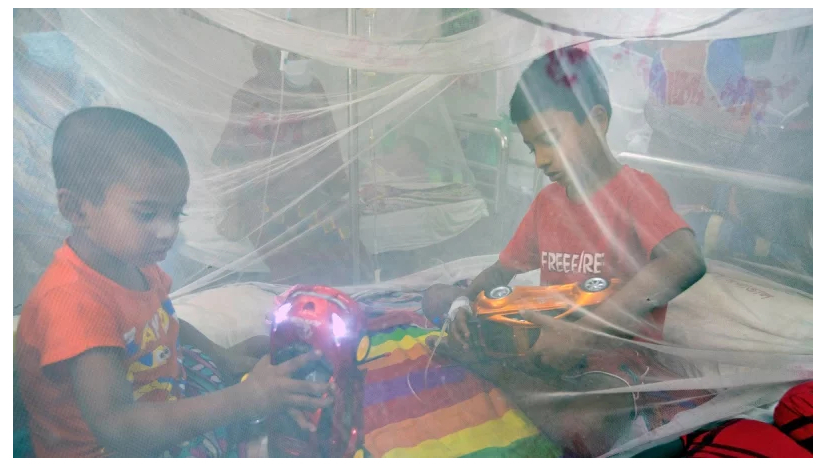 ২৪ ঘণ্টায় রেকর্ড ডেঙ্গুরোগী হাসপাতালে, মৃত্যু ৪