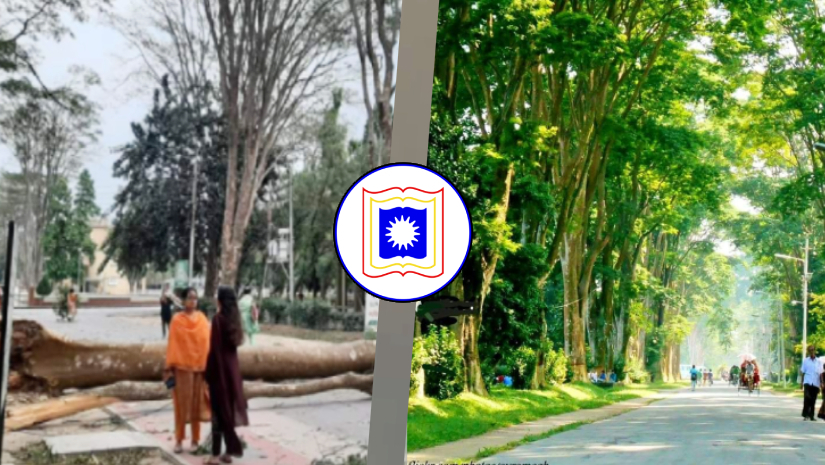 রাজশাহী বিশ্ববিদ্যালয়ের প্যারিস রোড