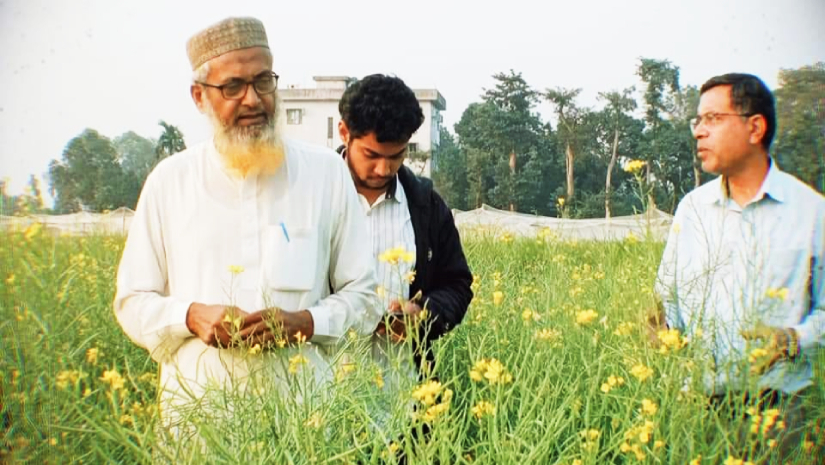 বিনার গবেষকদের সর্বোচ্চ ২৪ জাত উদ্ভাবক বিজ্ঞানী ড. মালেক